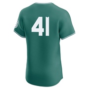 Tyron Guerrero Men's Boston Red Sox 2025 City Connect Jersey - Green Elite